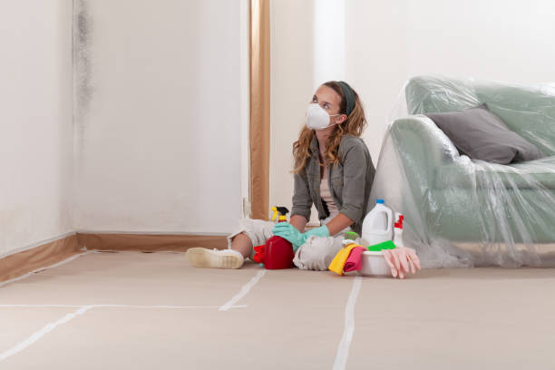 Reliable Commercial Mold Remediation contractor in Spring Lake, NJ by WQB Mold Removal